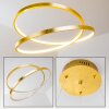 Stalon Pendant Light LED gold, 1-light source