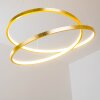Stalon Pendant Light LED gold, 1-light source