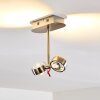 Florenz ceiling light LED matt nickel, 2-light sources