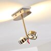 Florenz ceiling light LED matt nickel, 2-light sources