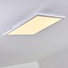 Bankura Ceiling Light LED white, 1-light source, Remote control, Colour changer