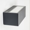 GEMINI Outdoor Wall Light LED anthracite, 1-light source