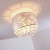 PIRINOA Ceiling light silver, 1-light source