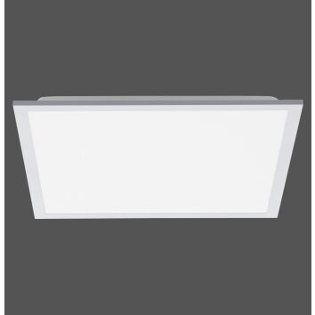 Leuchten Direkt FLEET Ceiling Light LED white, 1-light source, Motion sensor