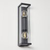 SKELDEGAARD Outdoor Wall Light anthracite, 2-light sources