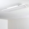 SALMI Ceiling Light LED white, 1-light source, Remote control