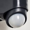Outdoor Wall Light Larvik LED anthracite, 1-light source, Motion sensor