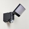 Outdoor Wall Light Larvik LED anthracite, 1-light source, Motion sensor