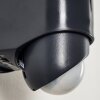 Outdoor Wall Light Larvik LED anthracite, 1-light source, Motion sensor