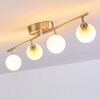 Motala Ceiling Light LED matt nickel, 4-light sources, Remote control, Colour changer