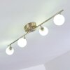 Motala Ceiling Light LED matt nickel, 4-light sources, Remote control, Colour changer