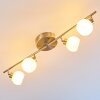 Motala Ceiling Light LED matt nickel, 4-light sources, Remote control, Colour changer