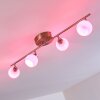 Motala Ceiling Light LED matt nickel, 4-light sources, Remote control, Colour changer