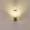 Noreaz Outdoor Wall Light chrome, 1-light source