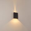 BENIN Outdoor Wall Light LED black, 2-light sources
