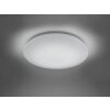 Ceiling Light Trio Leuchten WiZ CHARLY LED white, 1-light source, Remote control, Colour changer