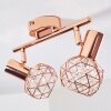 PALMIRA Ceiling light copper, 2-light sources