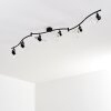 Bois Ceiling Light black, 6-light sources