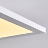 Salmi Ceiling Light LED white, 1-light source
