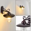 MAIDISWIL Outdoor Wall Light dark brown, 1-light source