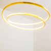 Stalon Pendant Light LED gold, 1-light source