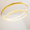 Stalon Pendant Light LED gold, 1-light source
