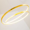 Stalon Pendant Light LED gold, 1-light source