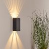 BENIN Outdoor Wall Light LED black, 2-light sources