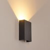 BENIN Outdoor Wall Light LED black, 2-light sources