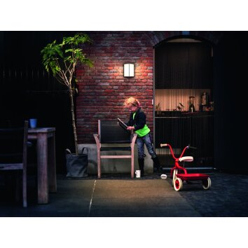 Philips STOCK Outdoor Wall Light LED anthracite, 1-light source