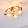 PALMIRA Ceiling light copper, 3-light sources