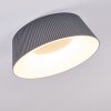 FREMONT Ceiling Light LED grey, 1-light source