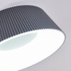 FREMONT Ceiling Light LED grey, 1-light source