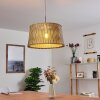 TIMMELE Pendant Light Light wood, matt nickel, 1-light source