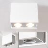 Braslo Ceiling Light chrome, white, 2-light sources