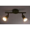 Globo OLANA Spotlight green, rust-coloured, 2-light sources