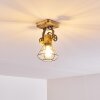 Nifun Ceiling Light brown, green, 1-light source