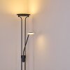 ABIQUA Floor Lamp LED black, 2-light sources