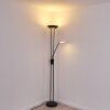 ABIQUA Floor Lamp LED black, 2-light sources