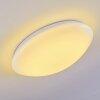 Brighton Ceiling light LED white, 1-light source, Remote control, Colour changer