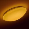 Brighton Ceiling light LED white, 1-light source, Remote control, Colour changer