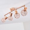 PALMIRA Ceiling light copper, 4-light sources