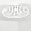 Ovari Ceiling Light white, 1-light source