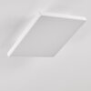 Bankura Ceiling Light LED white, 1-light source