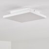 Bankura Ceiling Light LED white, 1-light source