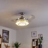 BENDIGO ceiling fan LED matt nickel, transparent, clear, 1-light source