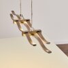 Gamsen Pendant Light LED brushed steel, 3-light sources, Remote control, Colour changer