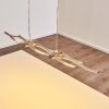 Gamsen Pendant Light LED brushed steel, 3-light sources, Remote control, Colour changer