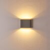 Outdoor Wall Light Tinglev LED grey, 2-light sources
