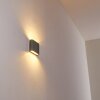 Outdoor Wall Light Tinglev LED grey, 2-light sources